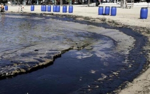 Pesisir Karawang Menghitam Akibat Tumpahan Minyak Pertamina, Kemenhub Ikut Turun Tangan