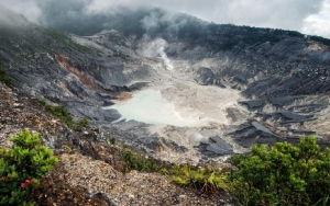 Gunung Tangkuban Parahu Erupsi, Pusat Vulkanologi Tetapkan Radius Aman 500 Meter