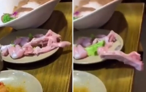 Viral Video Potongan Daging Mentah 'Merangkak Kabur' Dari Piring, Netter Beri Beragam Teori