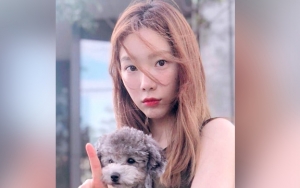 Anjing Peliharaan Tae Yeon SNSD Kini Resmi Jadi Karyawan SM Entertainment