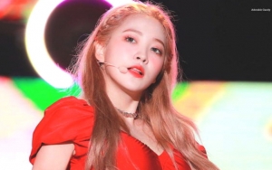 Yeri Kini Lakukan Ini di Postingan Instagram Usai Fotonya Kembali Di-Like Ariana Grande