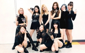 Twice Diserbu dan Kena Dorong di Bandara, Fans Khawatirkan Keadaan Nayeon Cs