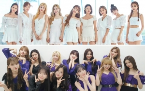 Album Twice dan IZ*ONE Sukses Raih Sertifikat Platinum Dari Asosiasi Musik Jepang