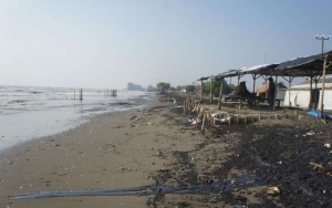 Libatkan Ribuan Personel, Total Minyak Tumpah di Karawang Capai 1 Juta Karung