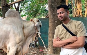 Perdana Sembelih Hewan Kurban, Raffi Ahmad: Ternyata Gak Segampang Itu