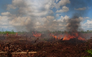 Petani PU Terancam Penjara Maksimal 10 Tahun Usai Resmi Jadi Tersangka Karhutla 2 Hektare di Riau