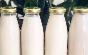 Rencanakan Perang Dagang Dengan Eropa, Pemerintah Naikkan Tarif Impor Produk Susu Olahan