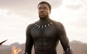 Alasan Black Panther Jadi Karakter Pertama yang Muncul dari Portal Doctor Strange di 'Endgame'