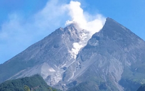 Gunung Merapi Luncurkan Awan Panas Sejauh 950 Meter, BPPTKG Tetapkan Status Waspada