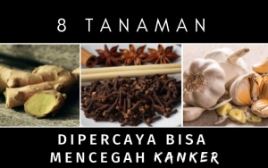 Ada Teh hingga Daun Mint, 8 Tanaman Ini Dipercaya Bisa Melawan Sel-Sel Kanker