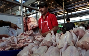 Hancurkan Nasib Perternak Lokal, Sejumlah Pengusaha Tolak Wacana Impor Daging Ayam Brasil