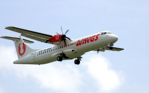 Kisah Penumpang Difabel Dipaksa Turun Dari Wings Air Gara-Gara Tak Teken Surat Sakit