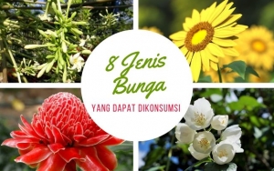 Harum Dan Bercita Rasa Unik, Yuk Intip 8 Jenis Bunga Yang Dapat Dikonsumsi!