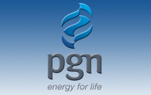 PGN Akan Lakukan Penyesuaian Harga Gas Demi Tingkatkan Layanan