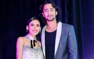 Ayu Ting Ting Girang Bareng Shaheer Sheikh, Komentar 'Kompor' Jedar Isyaratkan Sudah Balikan?