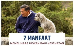 Enggak Hanya Bikin Bahagia, Memelihara Hewan Juga Punya 7 Manfaat Ini Bagi Kesehatan