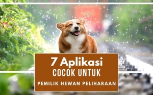 Pemilik Hewan Peliharaan Wajib Punya! 7 Aplikasi Ini Cocok Banget Bantu Rawat Hewan Kesayangan
