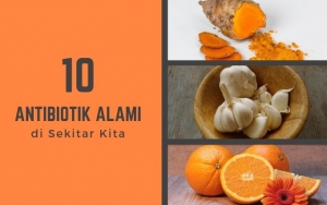 Aman dan Berkhasiat, Ini 10 Antibiotik Alami yang Ada di Sekitar Kita