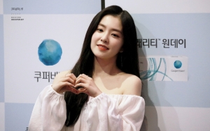 Gaya Modis Irene Red Velvet Menuju Jakarta Tuai Pujian Meski Bodi Dicibir Pendek
