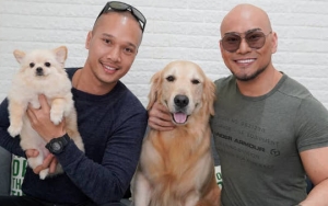 Sebelum Tragedi ART Tewas Digigit, Deddy Corbuzier Tawar Anjing Bima Aryo 2 Miliar