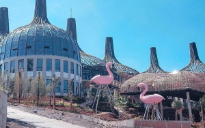  Bak Candi Borobudur, Dusun Di Semarang Ini Punya Banyak Spot Foto Instagramable