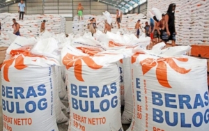 Buwas Takut Bulog Bangkrut, Ungkap Harus Bayar Bunga Rp 250 M Per Bulan