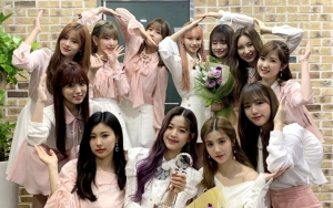 IZ*ONE Diduga Lakukan Lipsync Saat Konser Di Jepang, Dua Member Ini Paling Disorot