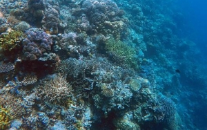 Indonesia Akan Kelola 12 Kapal Riset untuk Ekplorasi Kelautan