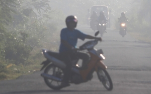 Malang, Pemotor Ini Tabrak Pohon Sawit Karena Kabut Asap