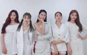 AOA Kebanjiran Fans Baru Usai Cover Lagu Mamamoo 'Egotistic' di 'Queendom'
