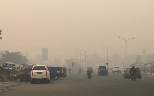 Tak Hanya Makan Korban, Kabut Asap Juga Bikin Tagihan Listrik Warga Riau Bengkak
