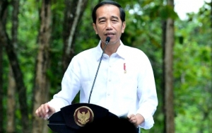 Jokowi Minta Birokrat Dan Politisi Tak Jadi Dewan Pengawas KPK