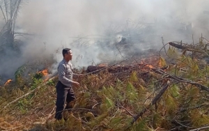 KLHK Segel 42 Lahan Perusahaan Terlibat Karhutla