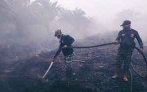 Heboh Ular Raksasa Ikut Terpanggang Karhutla di Kalimantan Bikin Miris