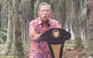 Cukai Rokok Naik 23 Persen di 2020, Menko Darmin: Wajar Demi Sehat