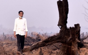 Soal Karhutla, Jokowi Diminta Berani Blak-blakan Ungkap Data HGU Hutan
