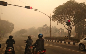 Ribuan Orang di Kalteng Terdeteksi Kena Infeksi Saluran Pernapasan Akut Gara-Gara Karhutla