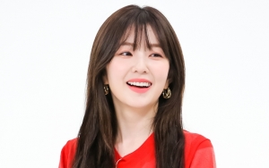 Jawaban Tak Terduga Irene Red Velvet Ditanya Kapan Merasa Paling Cantik