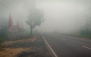 Pemerintah Segel Korporasi Penyebab Karhutla, Walhi: Jangan-Jangan Hanya Demi Puaskan Jokowi