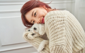 Kecantikan Suzy dengan Bibir Merah Sensual Dipuji Menyilaukan