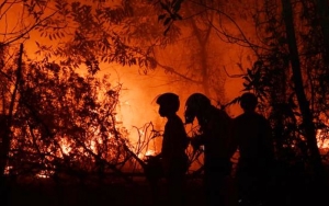 Kabut Asap 'Sambangi' Negara Tetangga, KLHK Sebut Sudah Tangani Karhutla