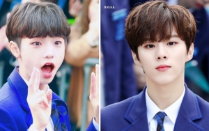 X1 Rayakan Ulang Tahun Son Dongpyo, Tingkah Laku Kim Wooseok Jadi Sorotan 