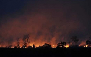 Langit Merah Masih Selimuti Jambi, Pemkot Liburkan PNS Hamil