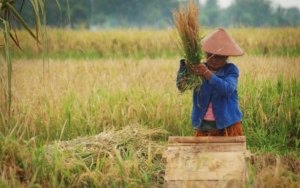 Tolak RUU Pertanahan, Ribuan Petani Siap Gelar Aksi di Istana-DPR Esok