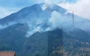 Lahan Hutan Seluas 5,5 Hektare Di Lereng Gunung Sumbing Terbakar