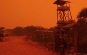 Polisi Tetapkan 37 Tersangka Terkait Karhutla Di Jambi