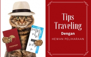 Perlu Persiapan Matang! Intip 8 Tips Traveling Dengan Hewan Peliharaan Agar Liburan Tak Terganggu