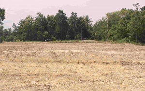 Pemerintah Cabut Izin Lahan Calon Ibu Kota Baru Dari Sukanto Tanoto Mulai Bulan Depan