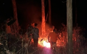 DLH Ambil Sampel Api Tanah yang Diduga Limbah Jamu di Ponorogo