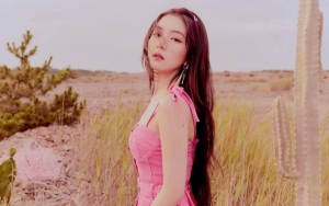 Aksi Super Imut Irene Red Velvet di Postingan Terbaru Dijamin Bikin Gemas